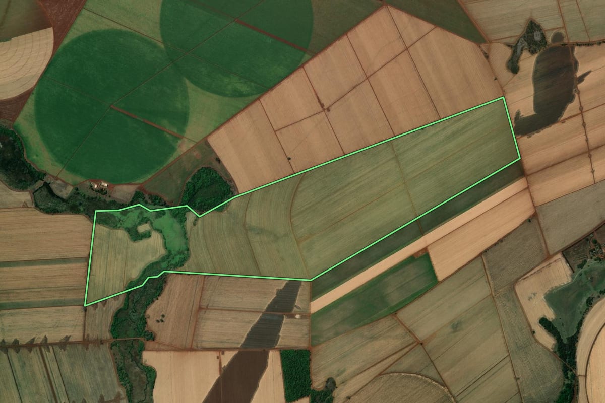 Imagem de satélite do imóvel rural em Miguelópolis (SP), com o contorno declarado no CAR desenhado por cima.