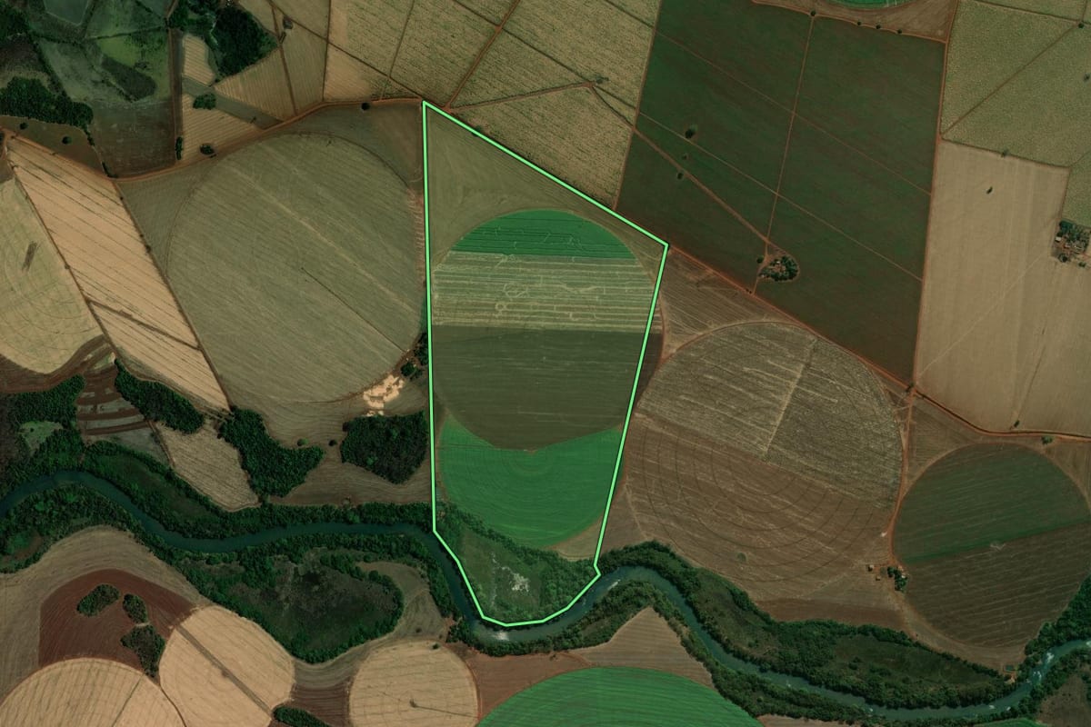 Imagem de satélite do imóvel rural em Miguelópolis (SP), com o contorno declarado no CAR desenhado por cima.
