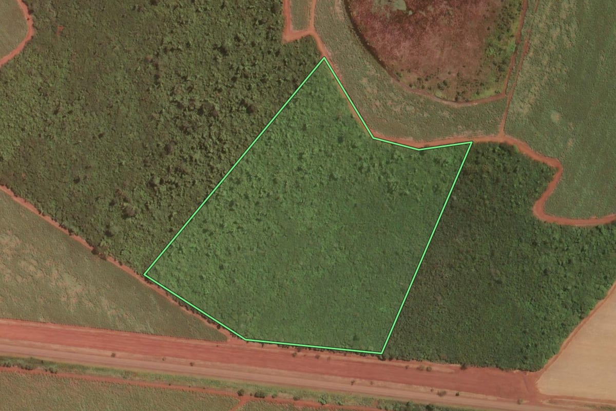 Imagem de satélite do imóvel rural em Miguelópolis (SP), com o contorno declarado no CAR desenhado por cima.