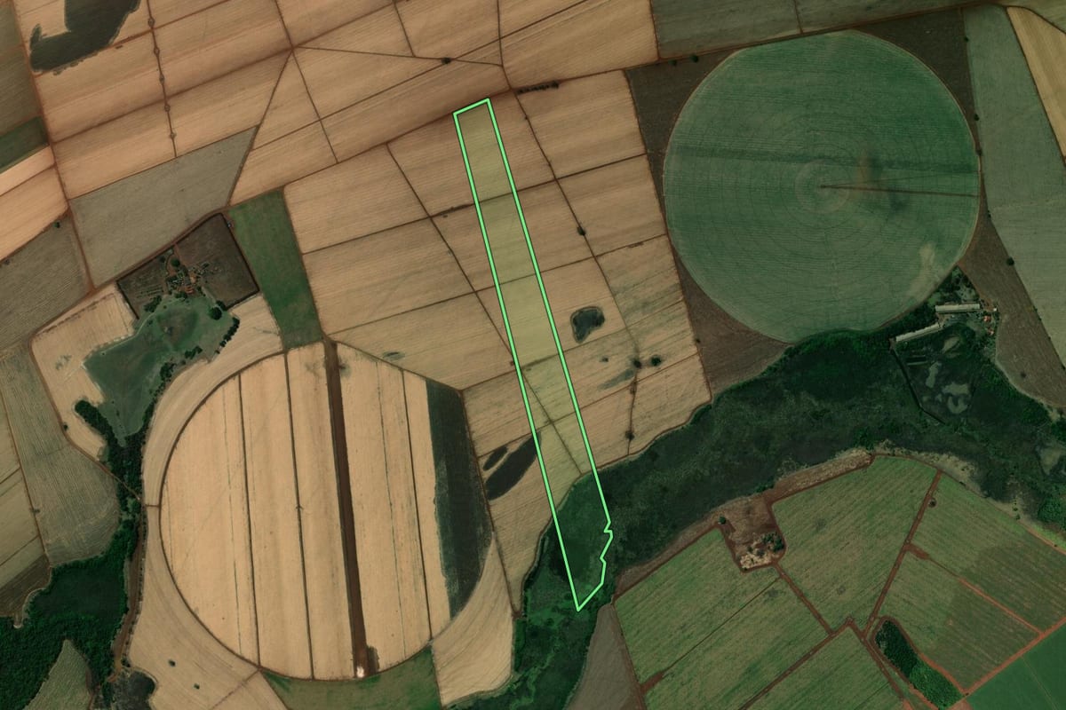 Imagem de satélite do imóvel rural em Miguelópolis (SP), com o contorno declarado no CAR desenhado por cima.