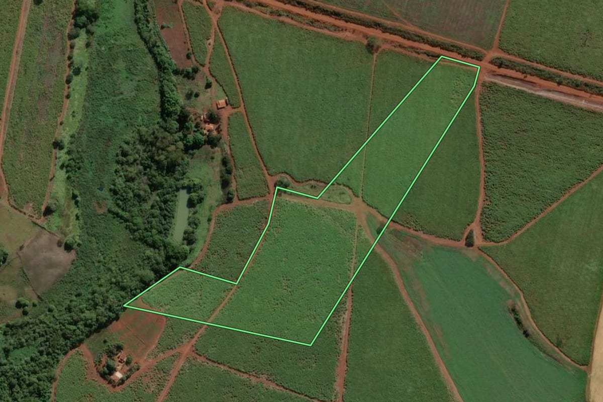 Imagem de satélite do imóvel rural em Miguelópolis (SP), com o contorno declarado no CAR desenhado por cima.