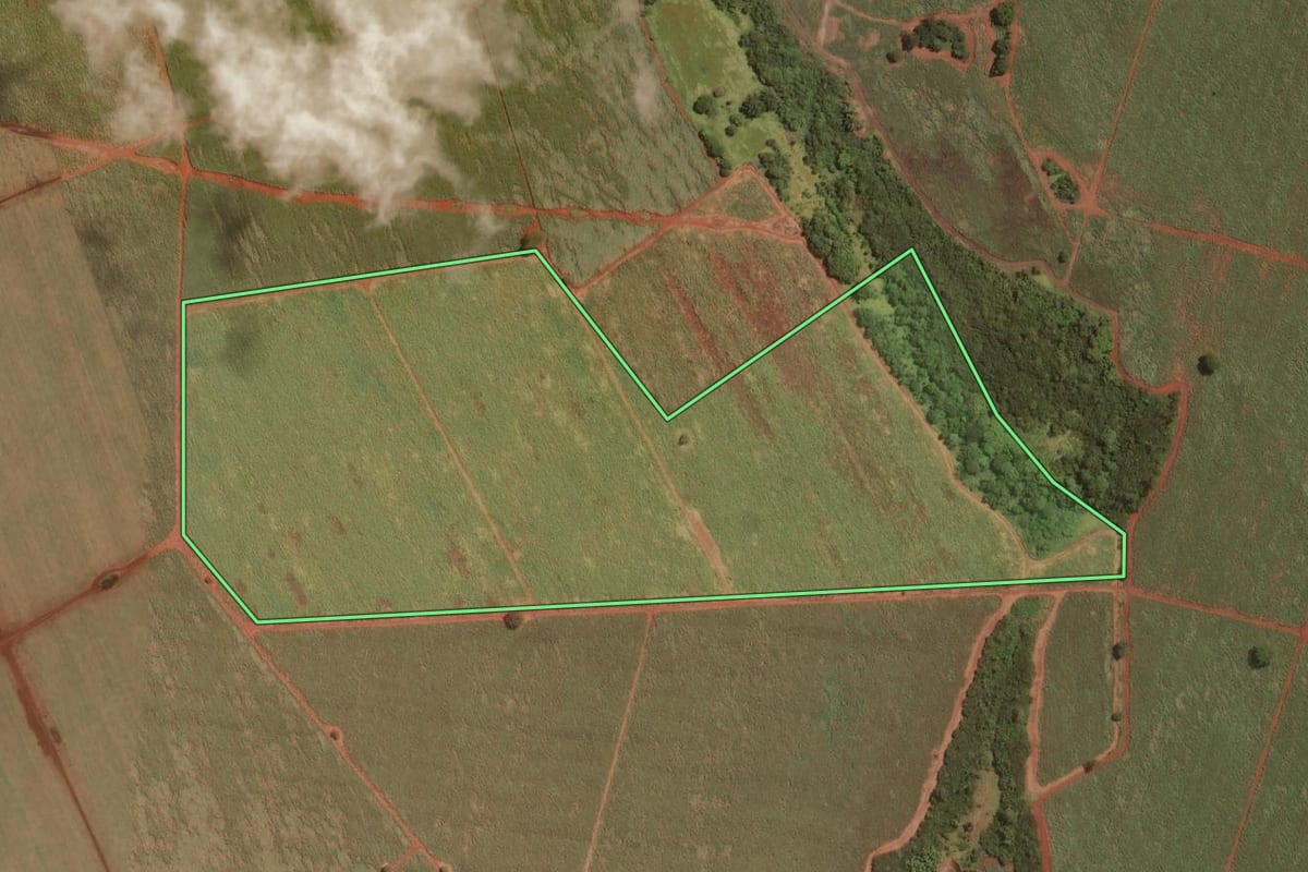 Imagem de satélite do imóvel rural em Miguelópolis (SP), com o contorno declarado no CAR desenhado por cima.
