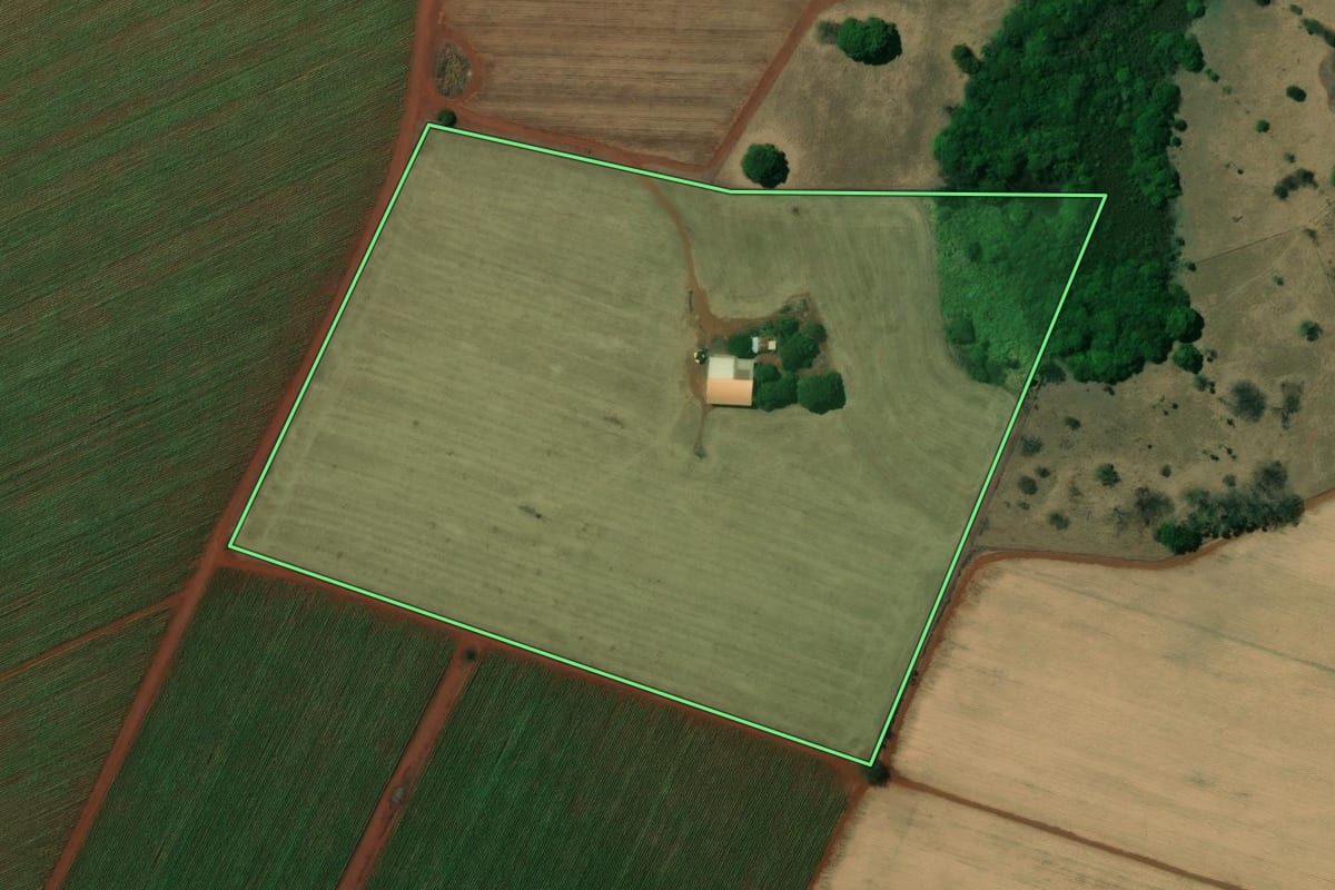 Imagem de satélite do imóvel rural em Miguelópolis (SP), com o contorno declarado no CAR desenhado por cima.