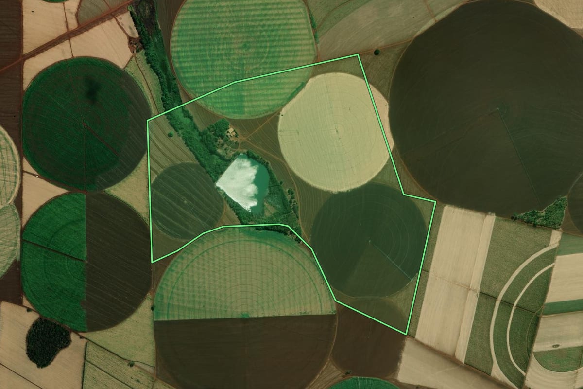 Imagem de satélite do imóvel rural em Miguelópolis (SP), com o contorno declarado no CAR desenhado por cima.