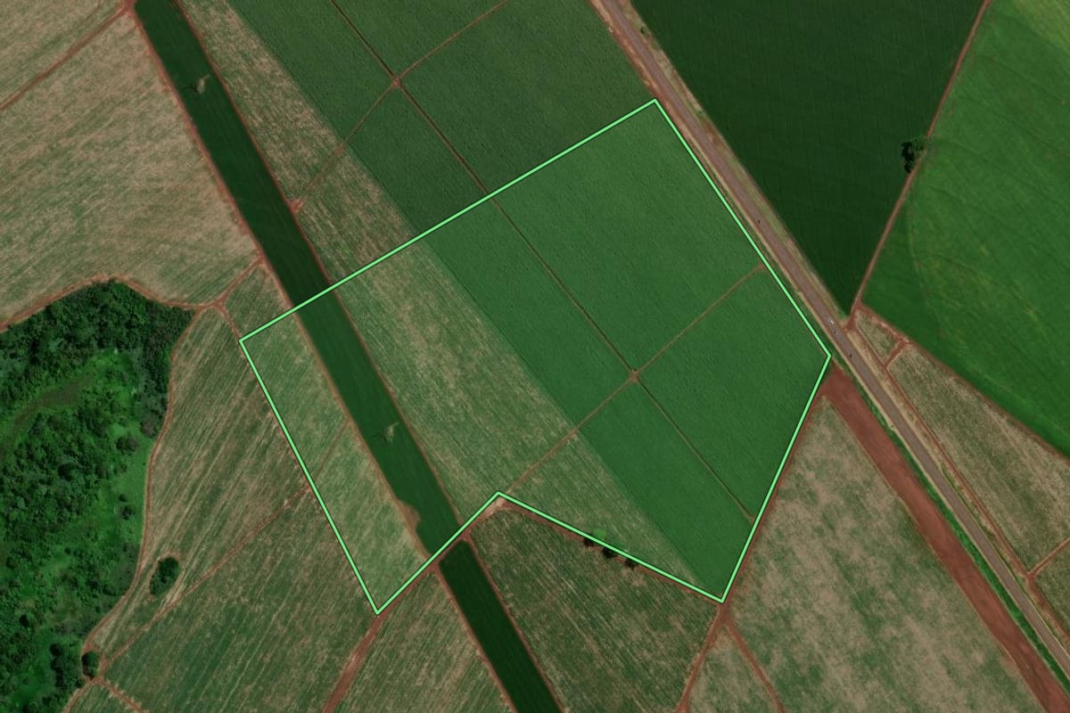 Imagem de satélite do imóvel rural em Miguelópolis (SP), com o contorno declarado no CAR desenhado por cima.