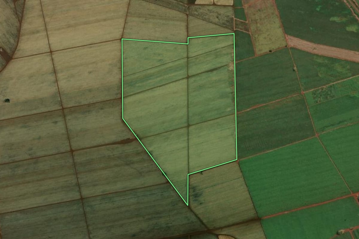 Imagem de satélite do imóvel rural em Miguelópolis (SP), com o contorno declarado no CAR desenhado por cima.