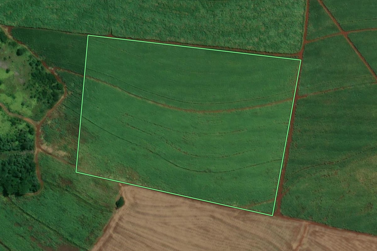Imagem de satélite do imóvel rural em Miguelópolis (SP), com o contorno declarado no CAR desenhado por cima.