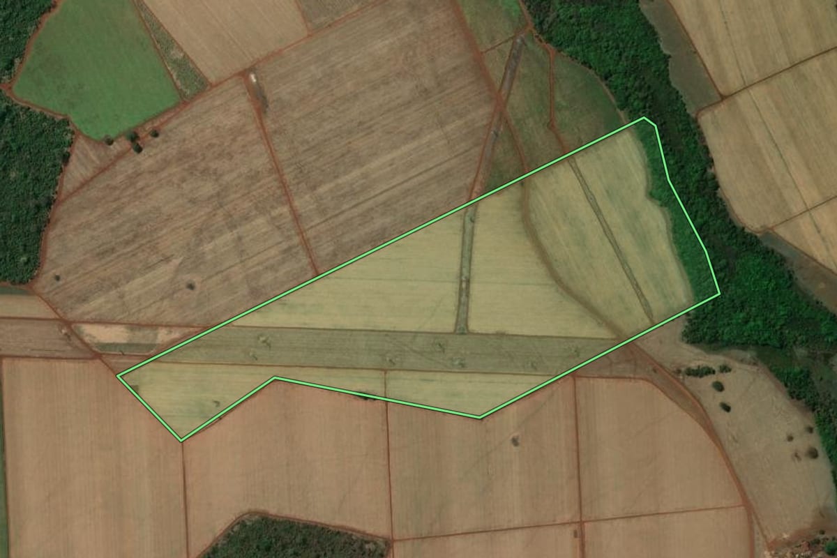 Imagem de satélite do imóvel rural em Miguelópolis (SP), com o contorno declarado no CAR desenhado por cima.