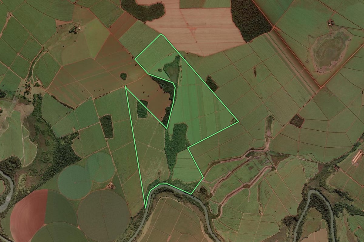 Imagem de satélite do imóvel rural em Miguelópolis (SP), com o contorno declarado no CAR desenhado por cima.