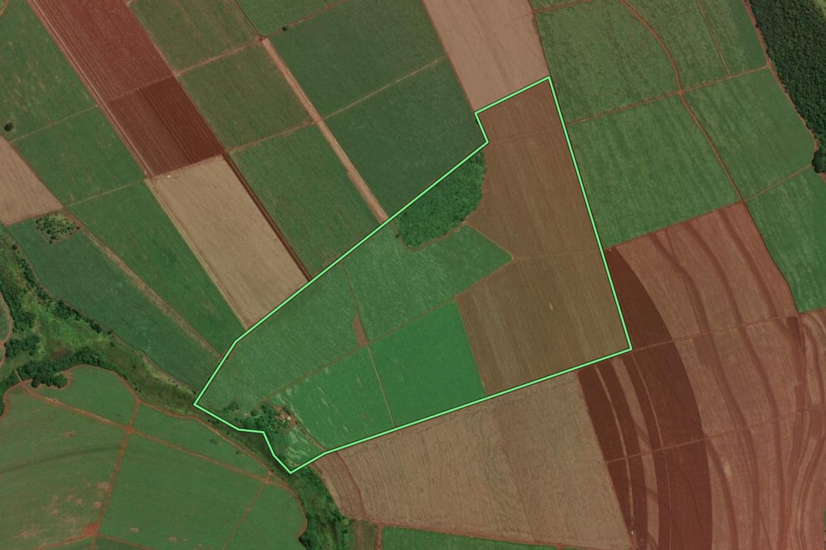 Imagem de satélite do imóvel rural em Miguelópolis (SP), com o contorno declarado no CAR desenhado por cima.