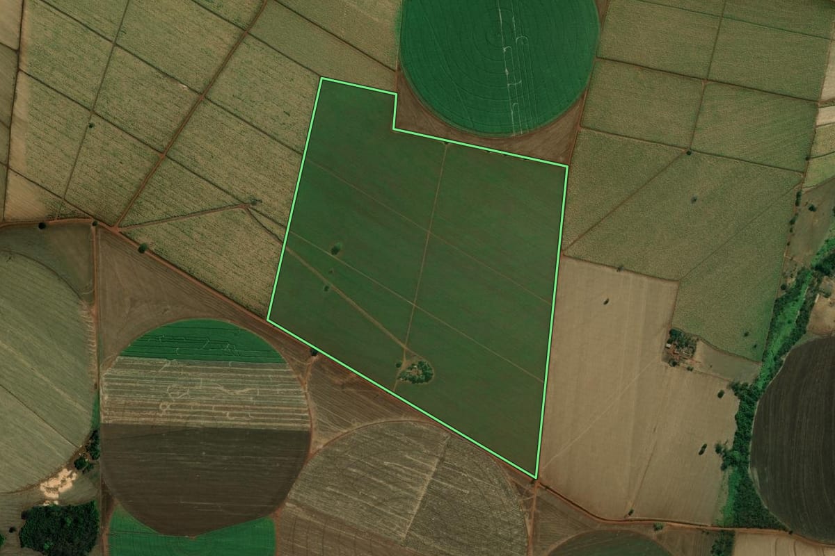 Imagem de satélite do imóvel rural em Miguelópolis (SP), com o contorno declarado no CAR desenhado por cima.
