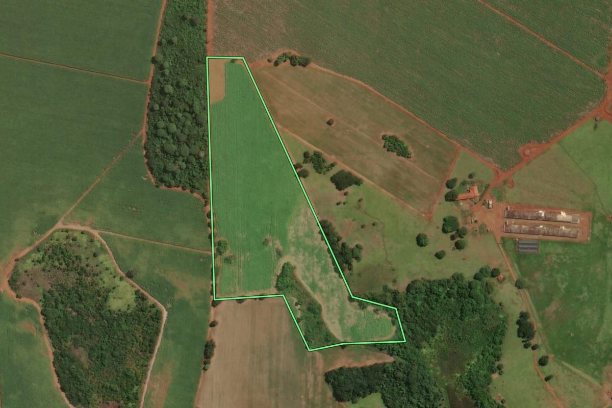 Imagem de satélite do imóvel rural em Miguelópolis (SP), com o contorno declarado no CAR desenhado por cima.