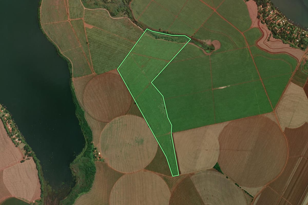 Imagem de satélite do imóvel rural em Miguelópolis (SP), com o contorno declarado no CAR desenhado por cima.