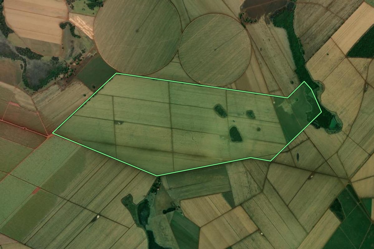 Imagem de satélite do imóvel rural em Miguelópolis (SP), com o contorno declarado no CAR desenhado por cima.