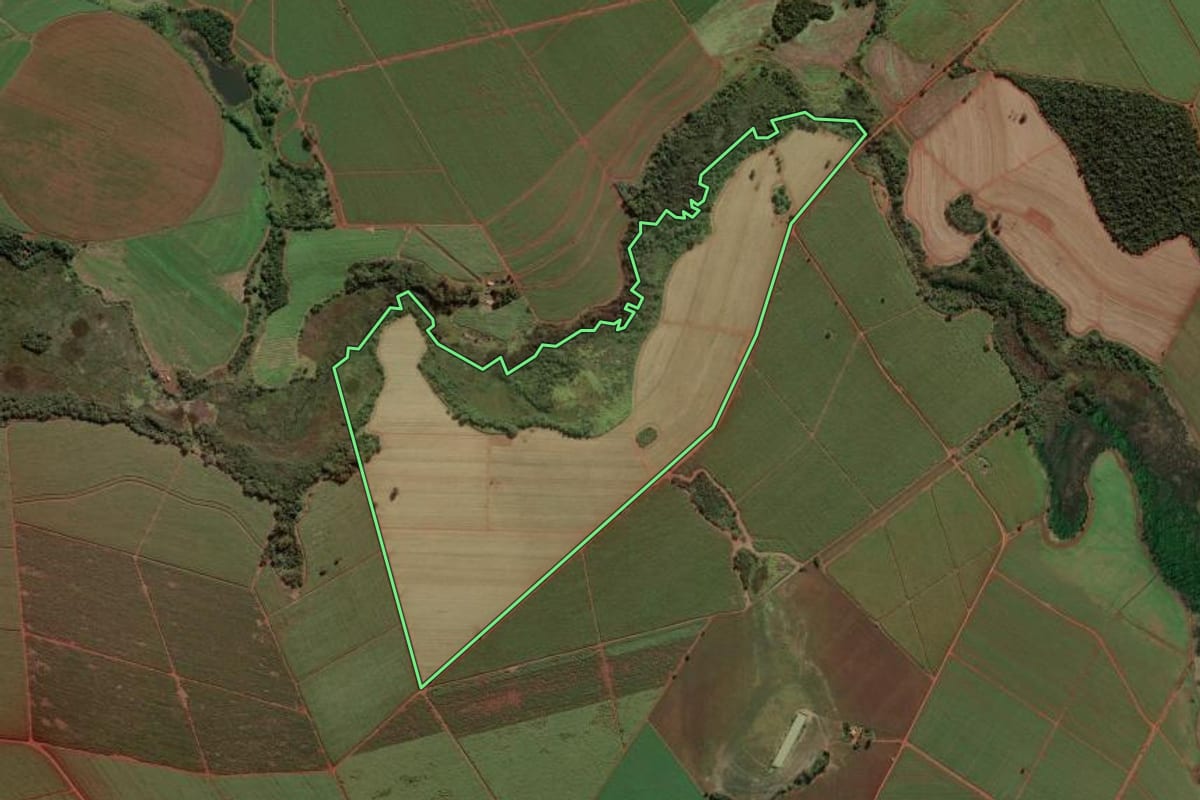 Imagem de satélite do imóvel rural em Miguelópolis (SP), com o contorno declarado no CAR desenhado por cima.