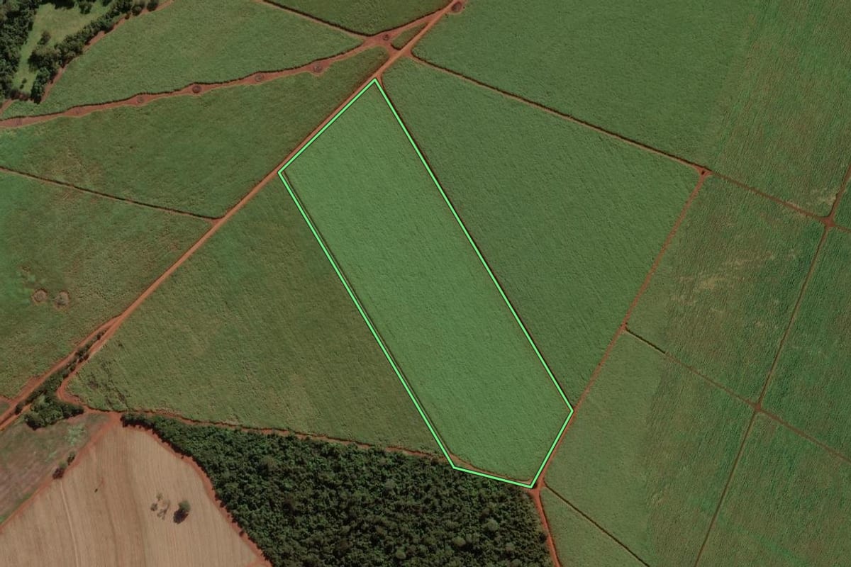 Imagem de satélite do imóvel rural em Miguelópolis (SP), com o contorno declarado no CAR desenhado por cima.
