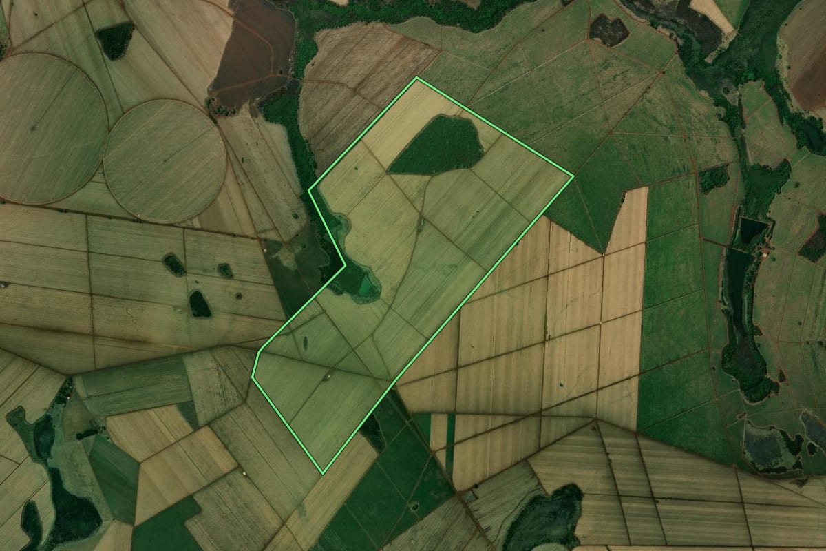 Imagem de satélite do imóvel rural em Miguelópolis (SP), com o contorno declarado no CAR desenhado por cima.