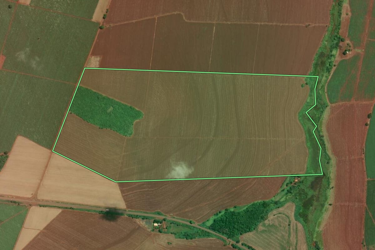Imagem de satélite do imóvel rural em Miguelópolis (SP), com o contorno declarado no CAR desenhado por cima.
