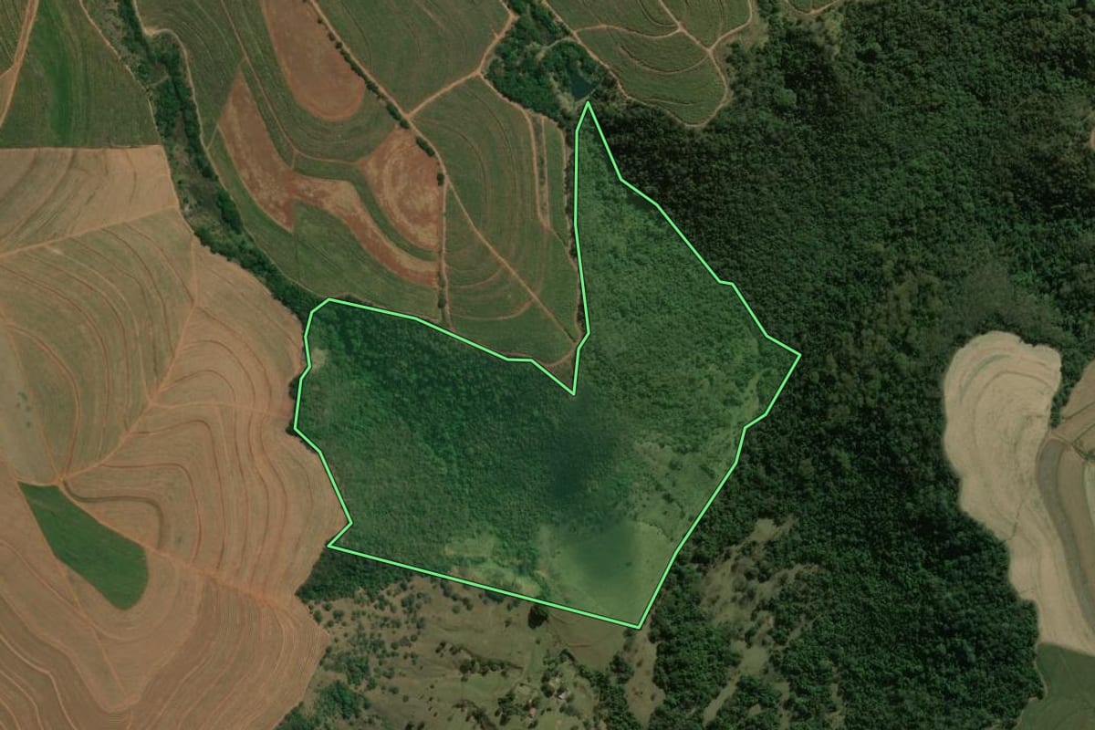 Imagem de satélite do imóvel rural em Mineiros do Tietê (SP), com o contorno declarado no CAR desenhado por cima.