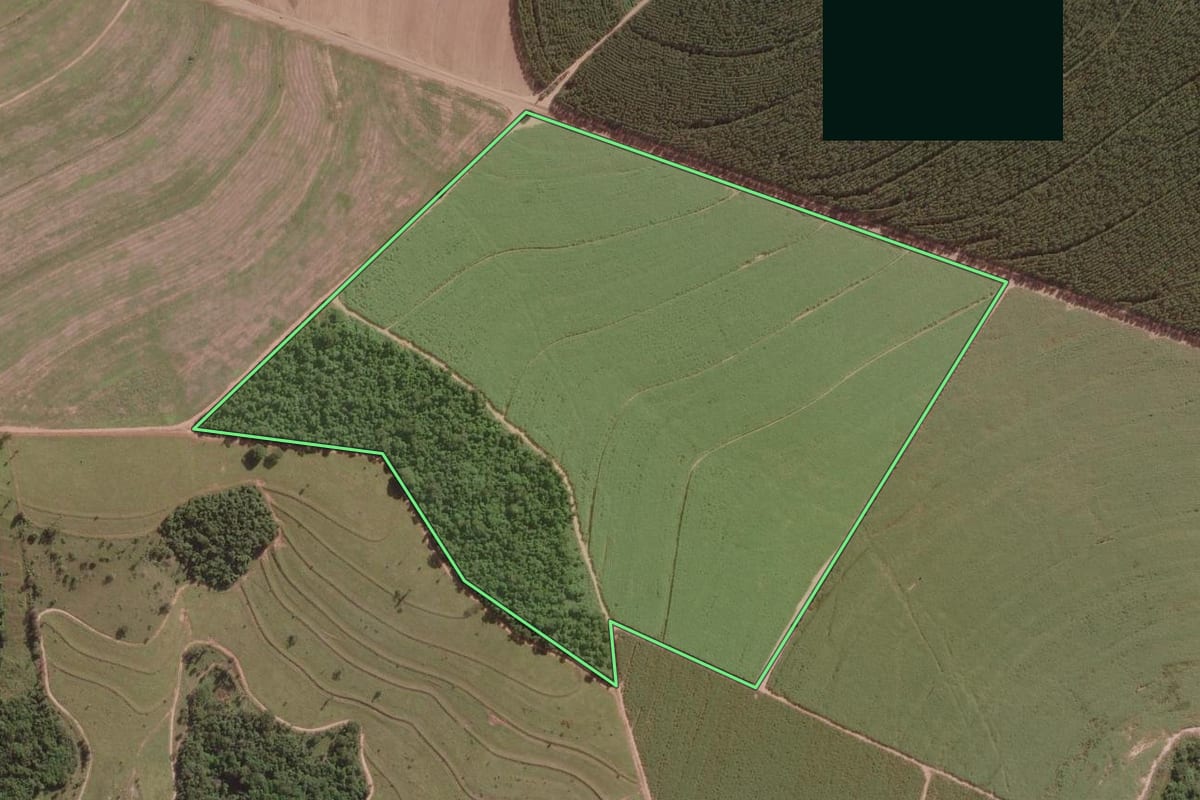 Imagem de satélite do imóvel rural em Mineiros do Tietê (SP), com o contorno declarado no CAR desenhado por cima.