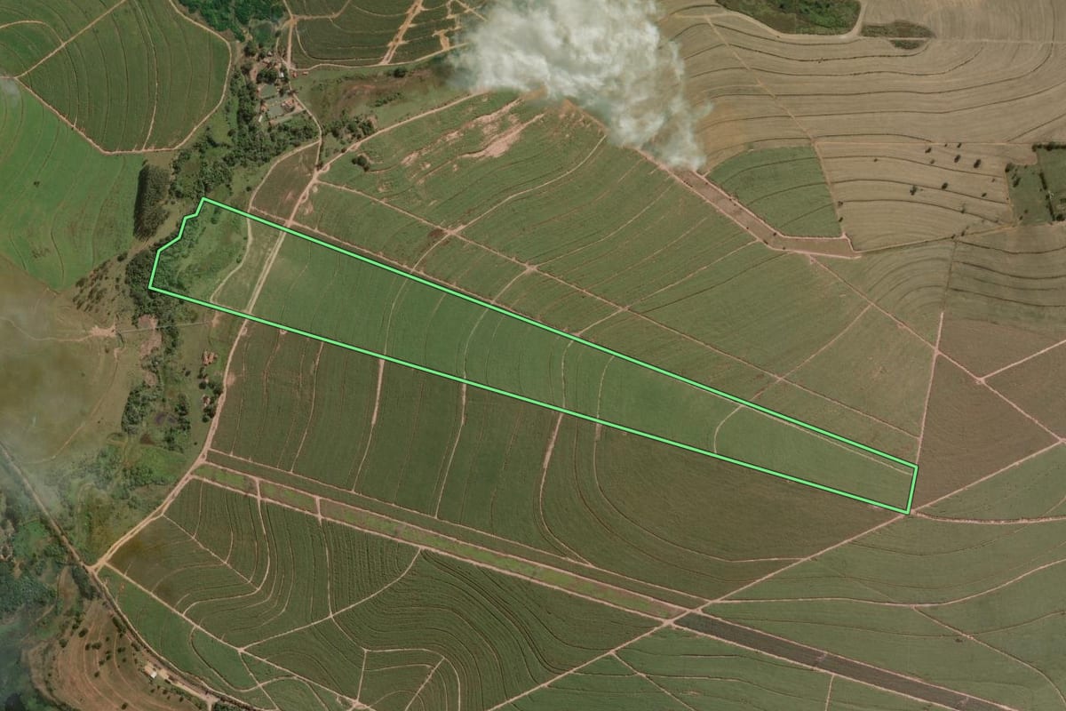 Imagem de satélite do imóvel rural em Mineiros do Tietê (SP), com o contorno declarado no CAR desenhado por cima.