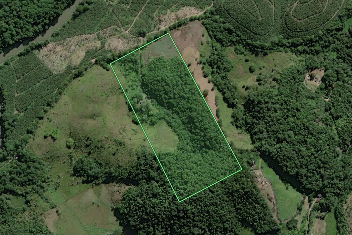 Imagem de satélite do imóvel rural em Miracatu (SP), com o contorno declarado no CAR desenhado por cima.