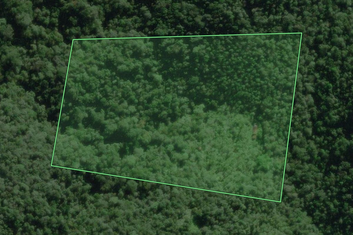 Imagem de satélite do imóvel rural em Miracatu (SP), com o contorno declarado no CAR desenhado por cima.