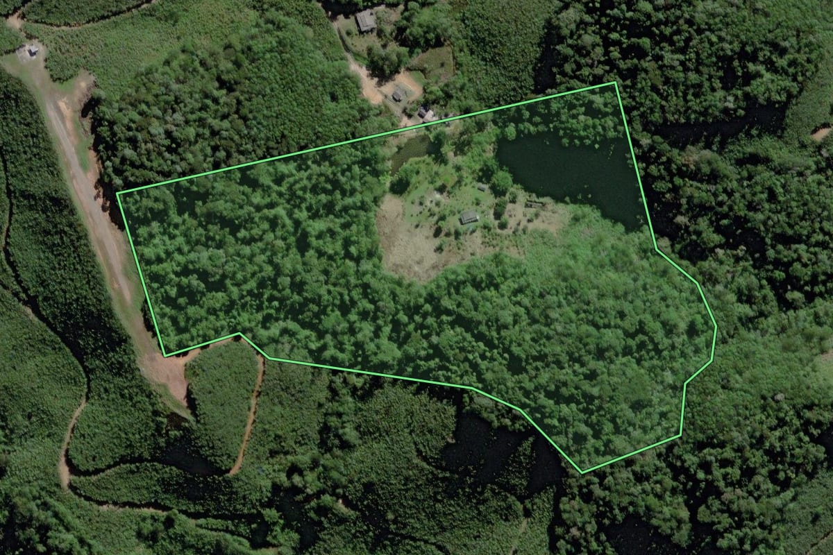 Imagem de satélite do imóvel rural em Miracatu (SP), com o contorno declarado no CAR desenhado por cima.