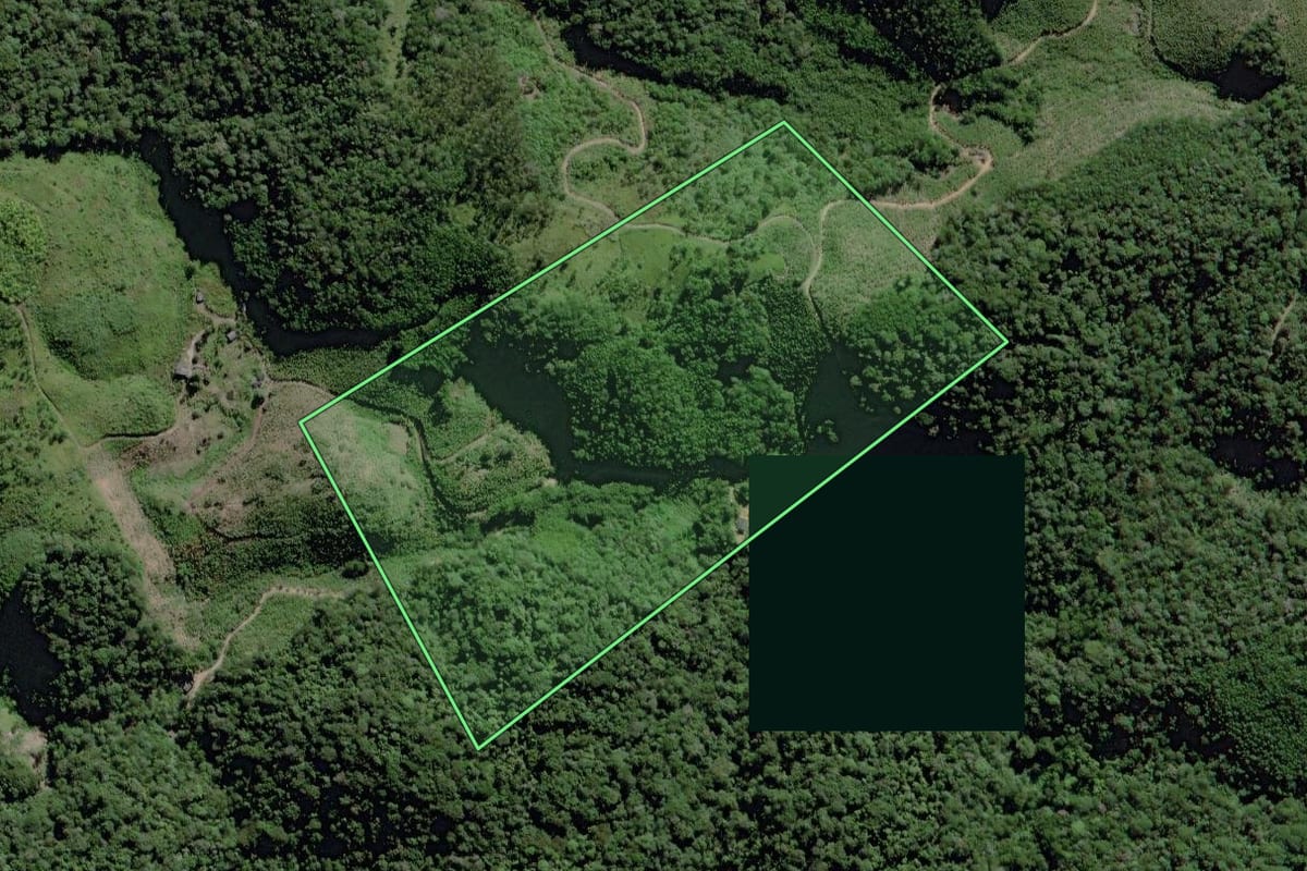 Imagem de satélite do imóvel rural em Miracatu (SP), com o contorno declarado no CAR desenhado por cima.