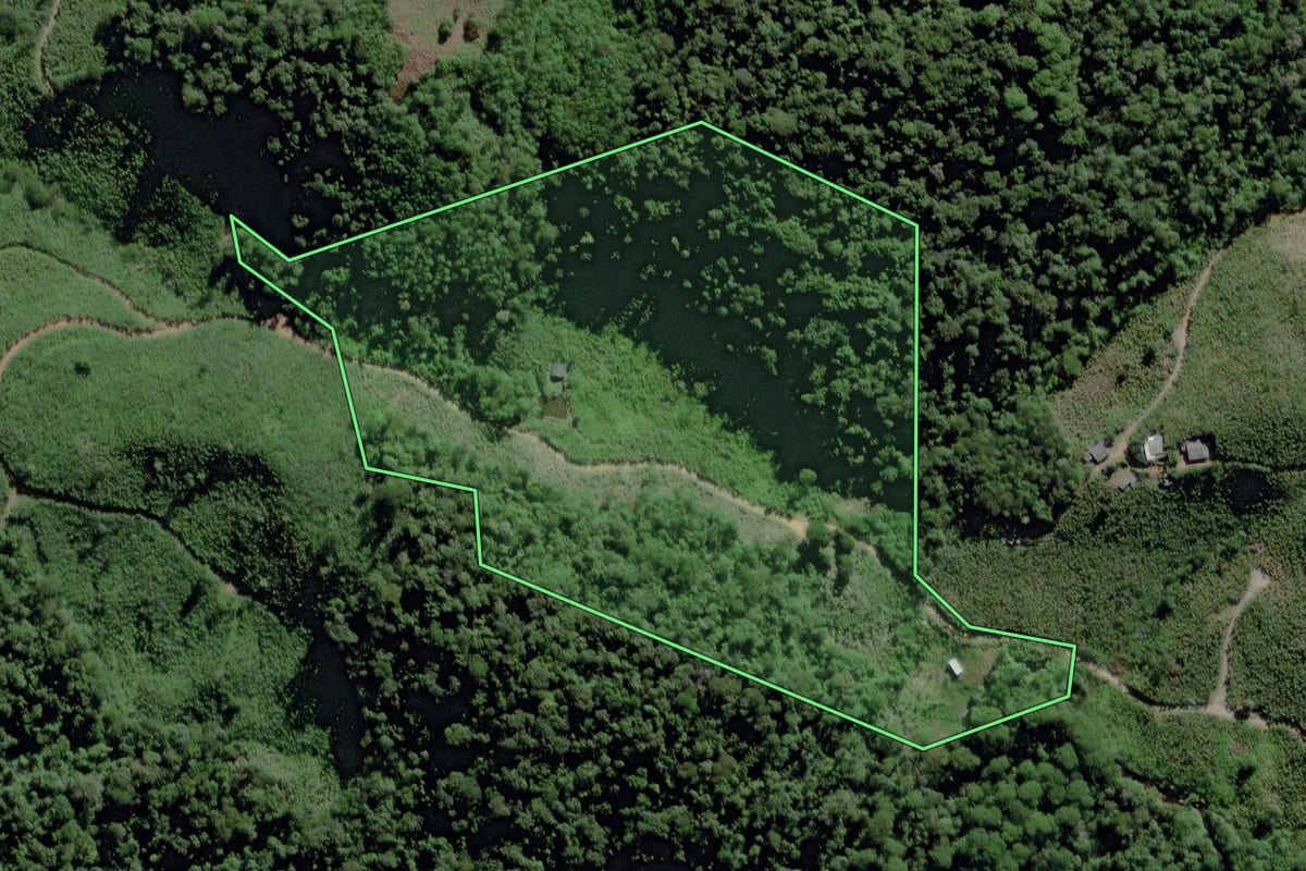 Imagem de satélite do imóvel rural em Miracatu (SP), com o contorno declarado no CAR desenhado por cima.
