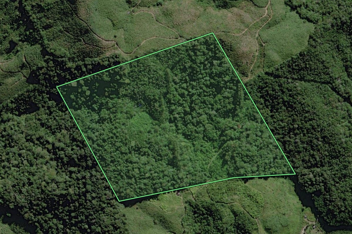 Imagem de satélite do imóvel rural em Miracatu (SP), com o contorno declarado no CAR desenhado por cima.