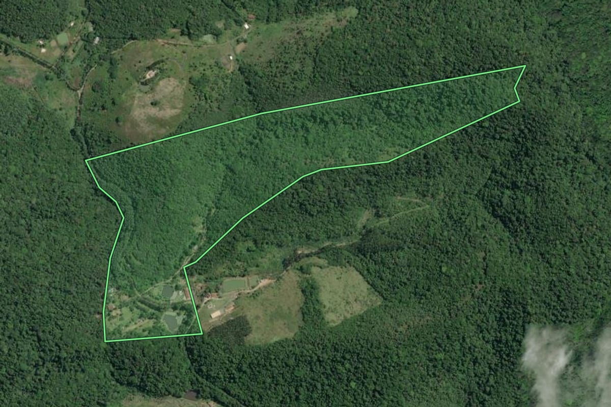 Imagem de satélite do imóvel rural em Miracatu (SP), com o contorno declarado no CAR desenhado por cima.