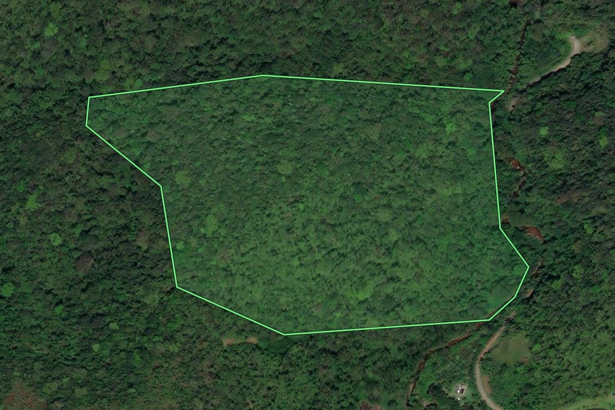 Imagem de satélite do imóvel rural em Miracatu (SP), com o contorno declarado no CAR desenhado por cima.