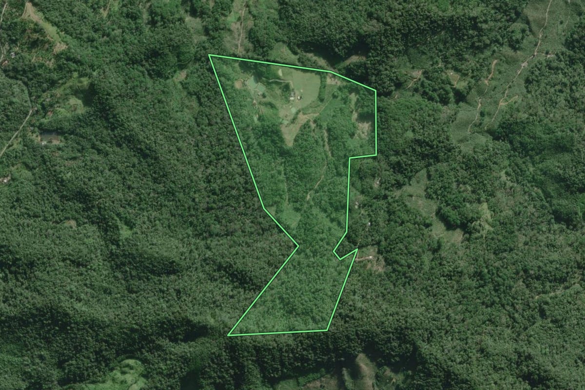 Imagem de satélite do imóvel rural em Miracatu (SP), com o contorno declarado no CAR desenhado por cima.