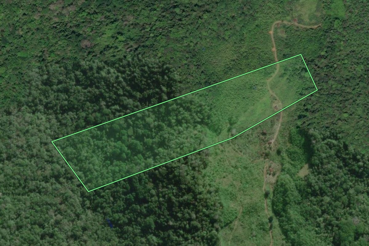 Imagem de satélite do imóvel rural em Miracatu (SP), com o contorno declarado no CAR desenhado por cima.