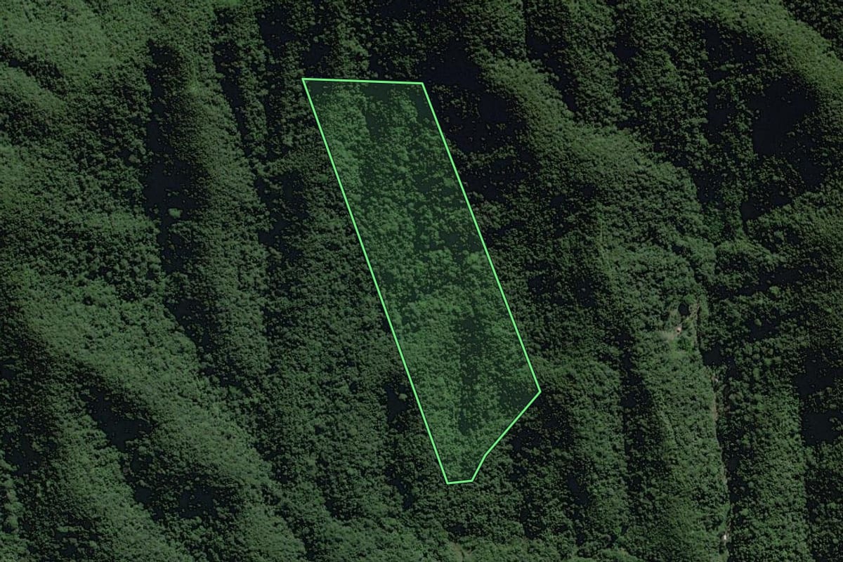 Imagem de satélite do imóvel rural em Miracatu (SP), com o contorno declarado no CAR desenhado por cima.