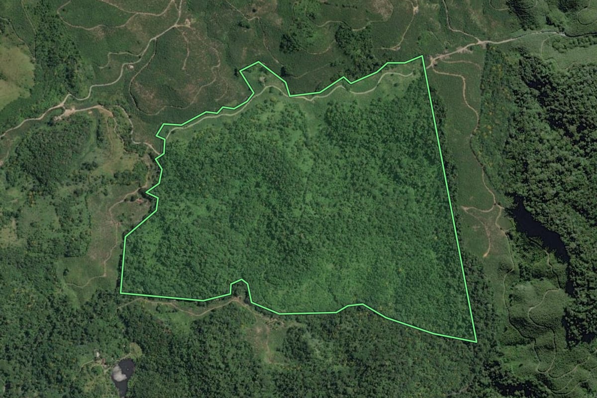 Imagem de satélite do imóvel rural em Miracatu (SP), com o contorno declarado no CAR desenhado por cima.