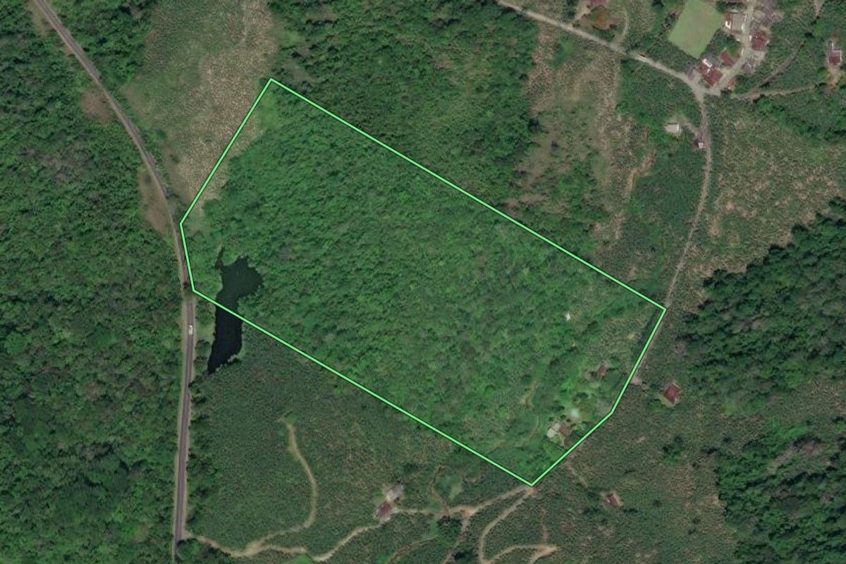 Imagem de satélite do imóvel rural em Miracatu (SP), com o contorno declarado no CAR desenhado por cima.