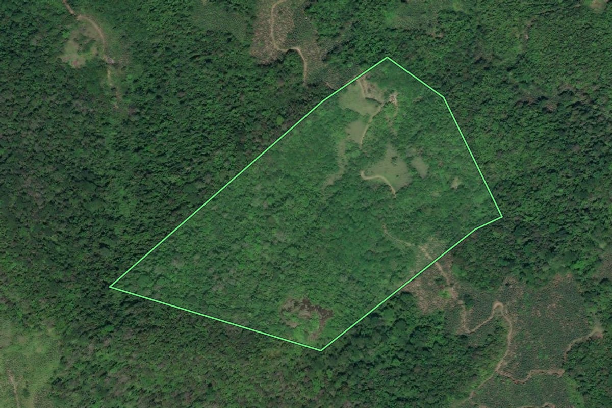 Imagem de satélite do imóvel rural em Miracatu (SP), com o contorno declarado no CAR desenhado por cima.