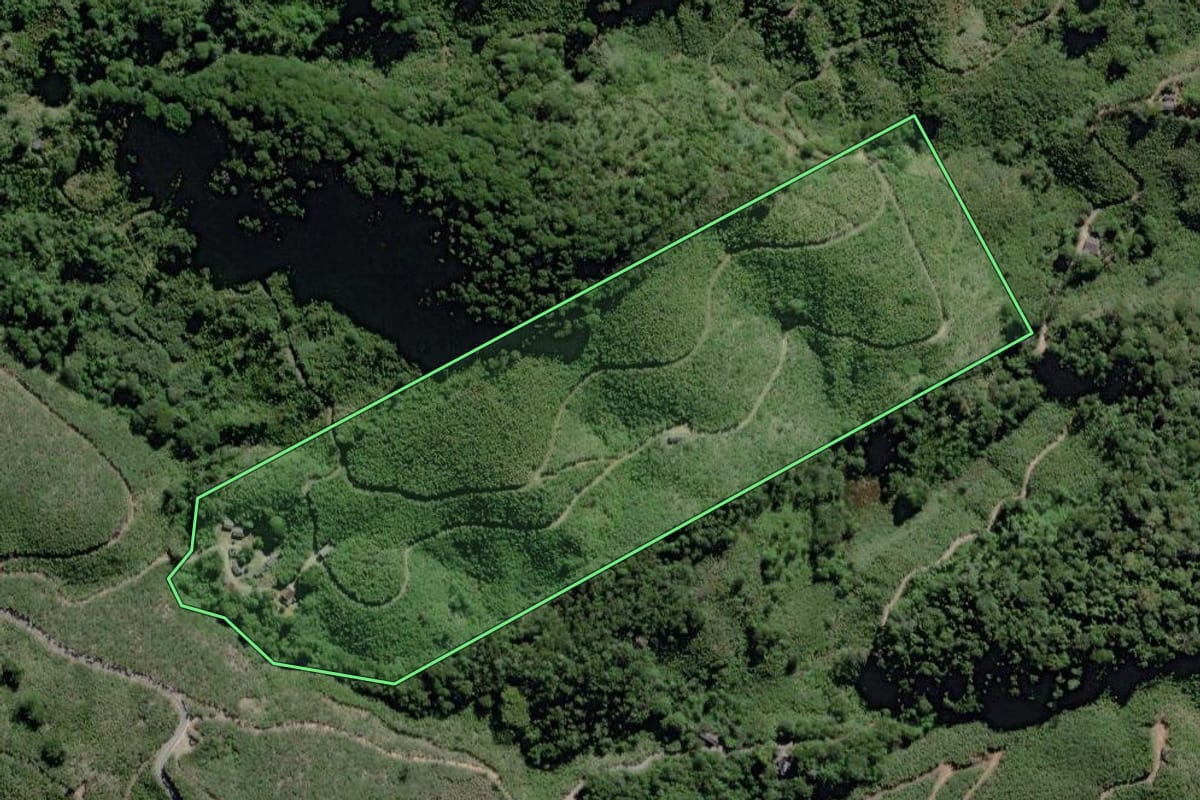 Imagem de satélite do imóvel rural em Miracatu (SP), com o contorno declarado no CAR desenhado por cima.