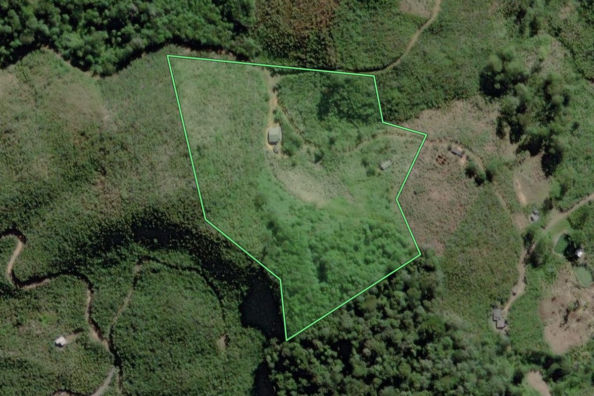 Imagem de satélite do imóvel rural em Miracatu (SP), com o contorno declarado no CAR desenhado por cima.