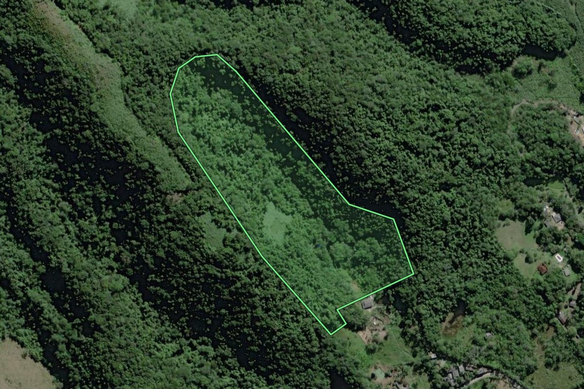 Imagem de satélite do imóvel rural em Miracatu (SP), com o contorno declarado no CAR desenhado por cima.