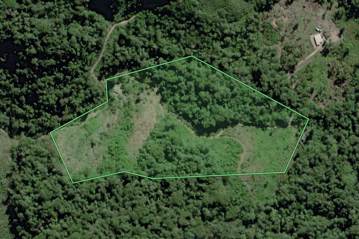 Imagem de satélite do imóvel rural em Miracatu (SP), com o contorno declarado no CAR desenhado por cima.