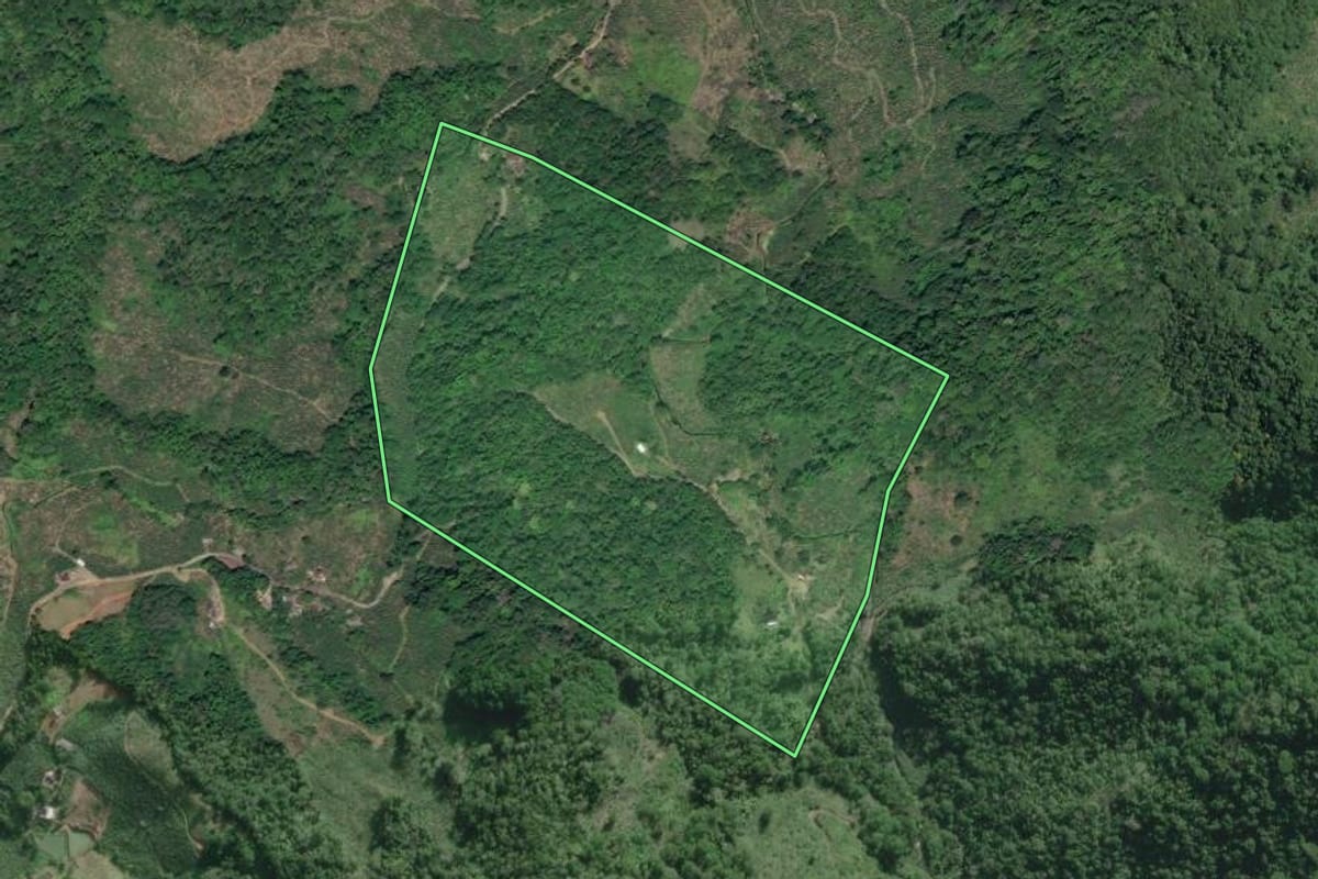 Imagem de satélite do imóvel rural em Miracatu (SP), com o contorno declarado no CAR desenhado por cima.