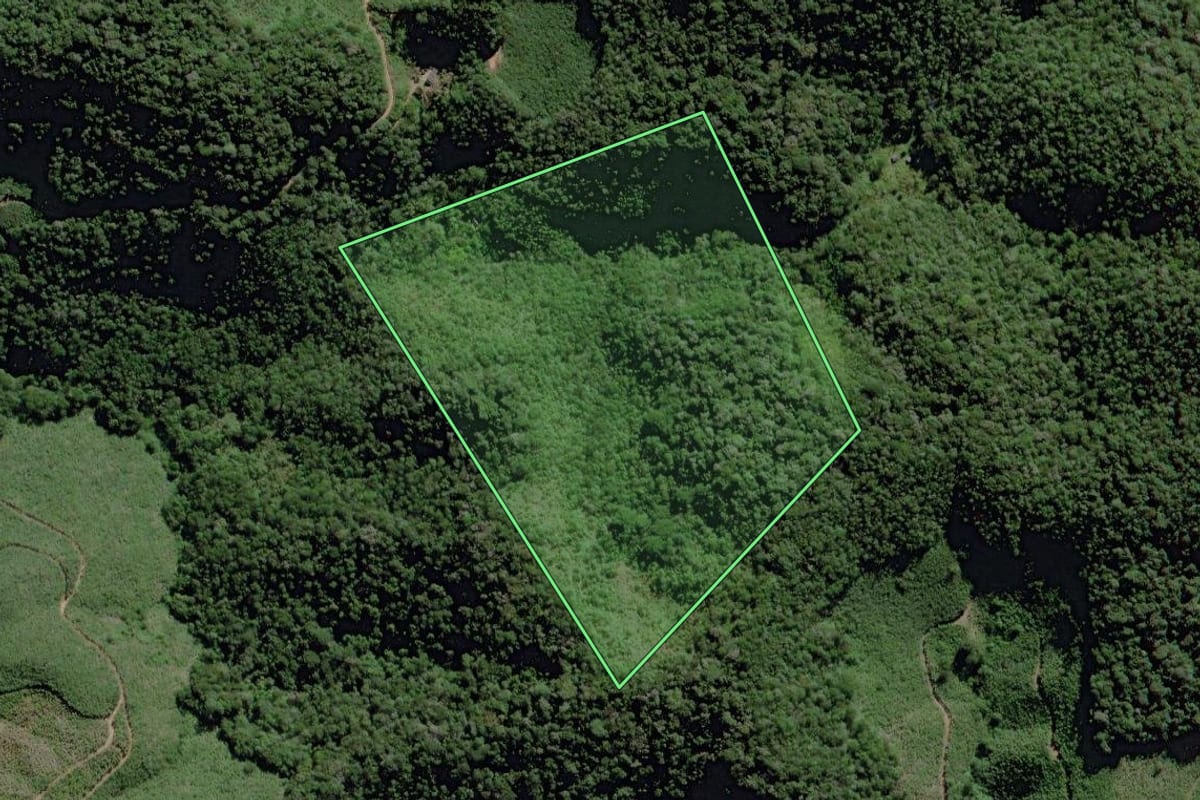 Imagem de satélite do imóvel rural em Miracatu (SP), com o contorno declarado no CAR desenhado por cima.