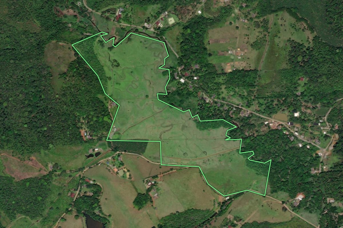 Imagem de satélite do imóvel rural em Miracatu (SP), com o contorno declarado no CAR desenhado por cima.