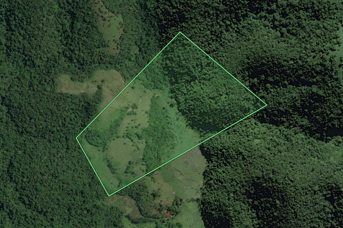 Imagem de satélite do imóvel rural em Miracatu (SP), com o contorno declarado no CAR desenhado por cima.