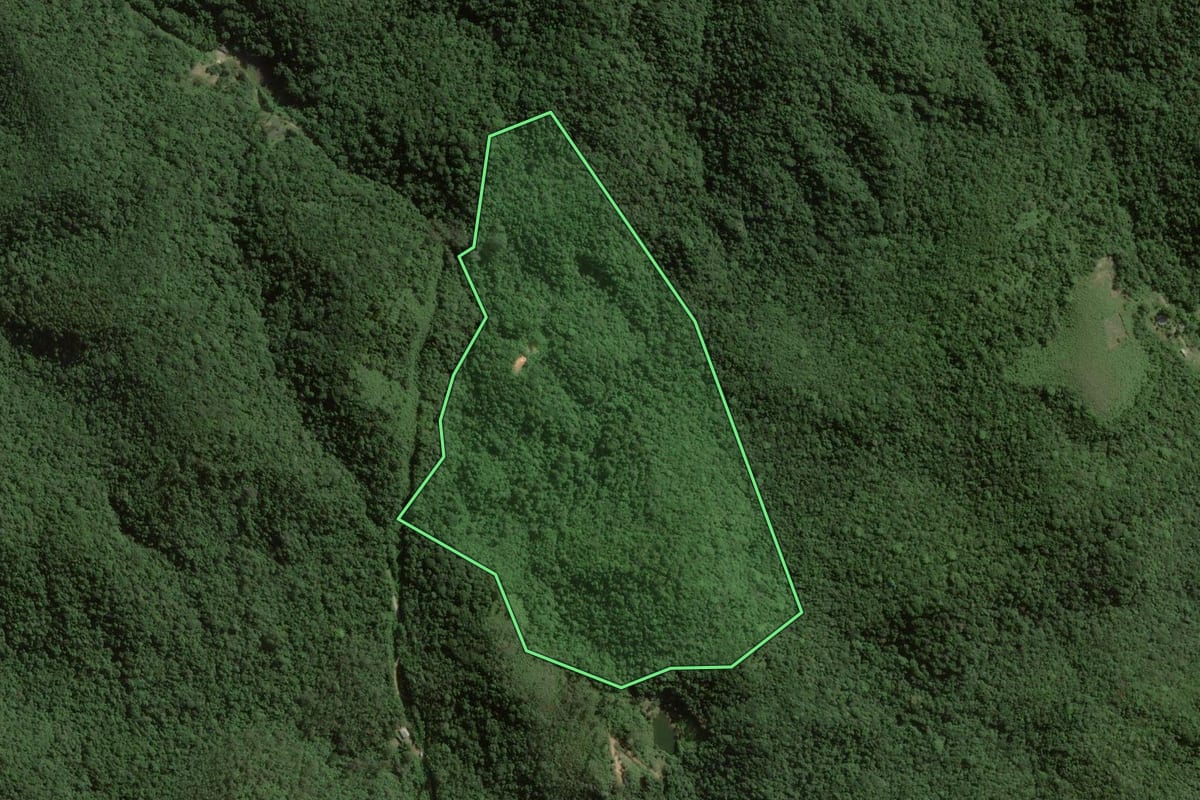 Imagem de satélite do imóvel rural em Miracatu (SP), com o contorno declarado no CAR desenhado por cima.
