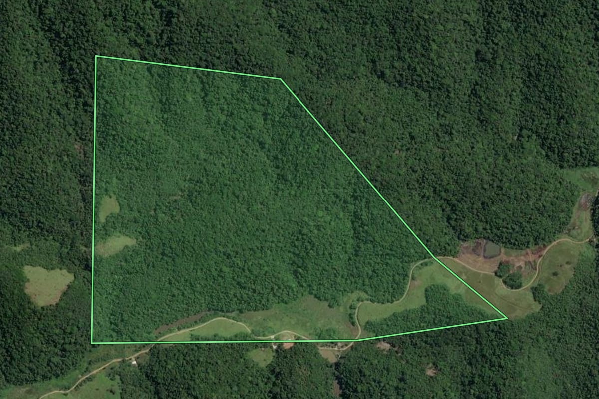 Imagem de satélite do imóvel rural em Miracatu (SP), com o contorno declarado no CAR desenhado por cima.