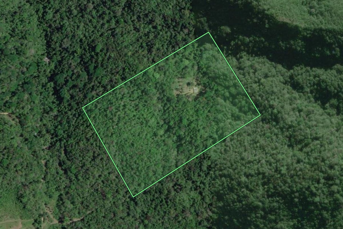 Imagem de satélite do imóvel rural em Miracatu (SP), com o contorno declarado no CAR desenhado por cima.